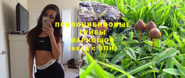 гидропоника Алексин