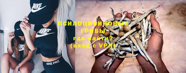 трава Алзамай